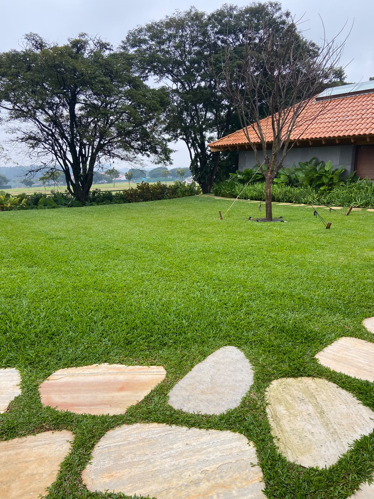 jardim com gramado verde exuberante, pedras de caminho em arenito, árvores e casa com telhado de telha ao fund